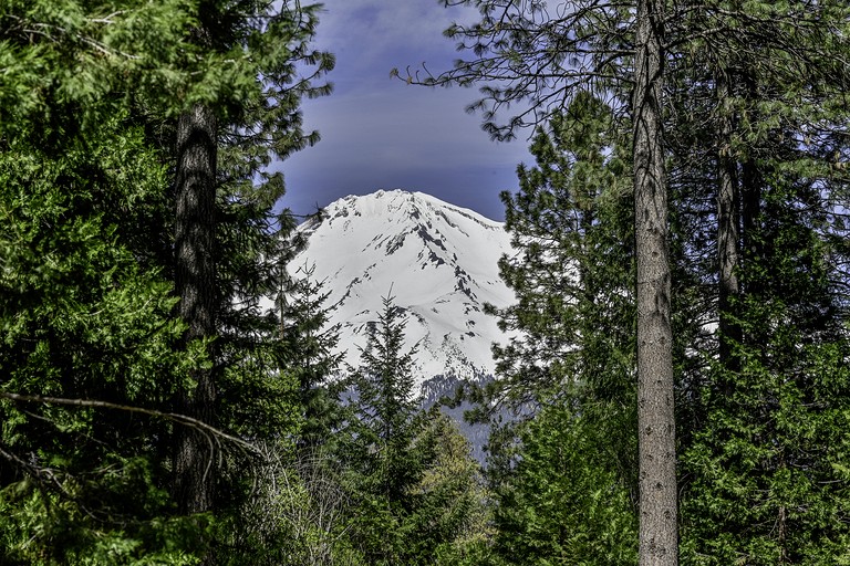 Vacation Rentals (United States of America, Mount Shasta, California)