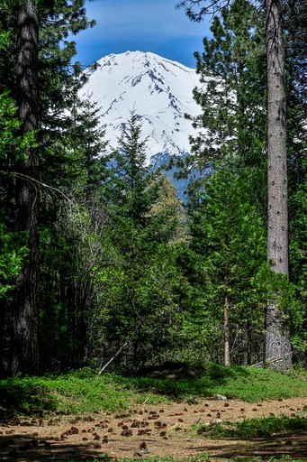 Vacation Rentals (United States of America, Mount Shasta, California)