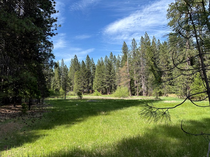 Vacation Rentals (United States of America, Mount Shasta, California)