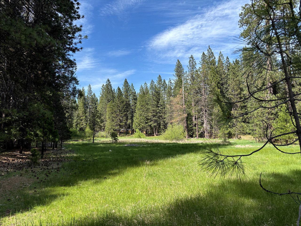Cozy Cabin Escape with Pond, Creek & Firepit in Mount Shasta, California