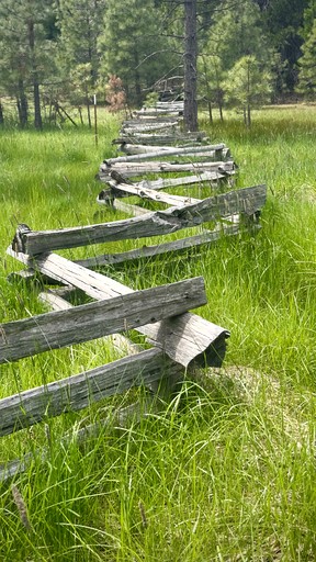 Vacation Rentals (United States of America, Mount Shasta, California)