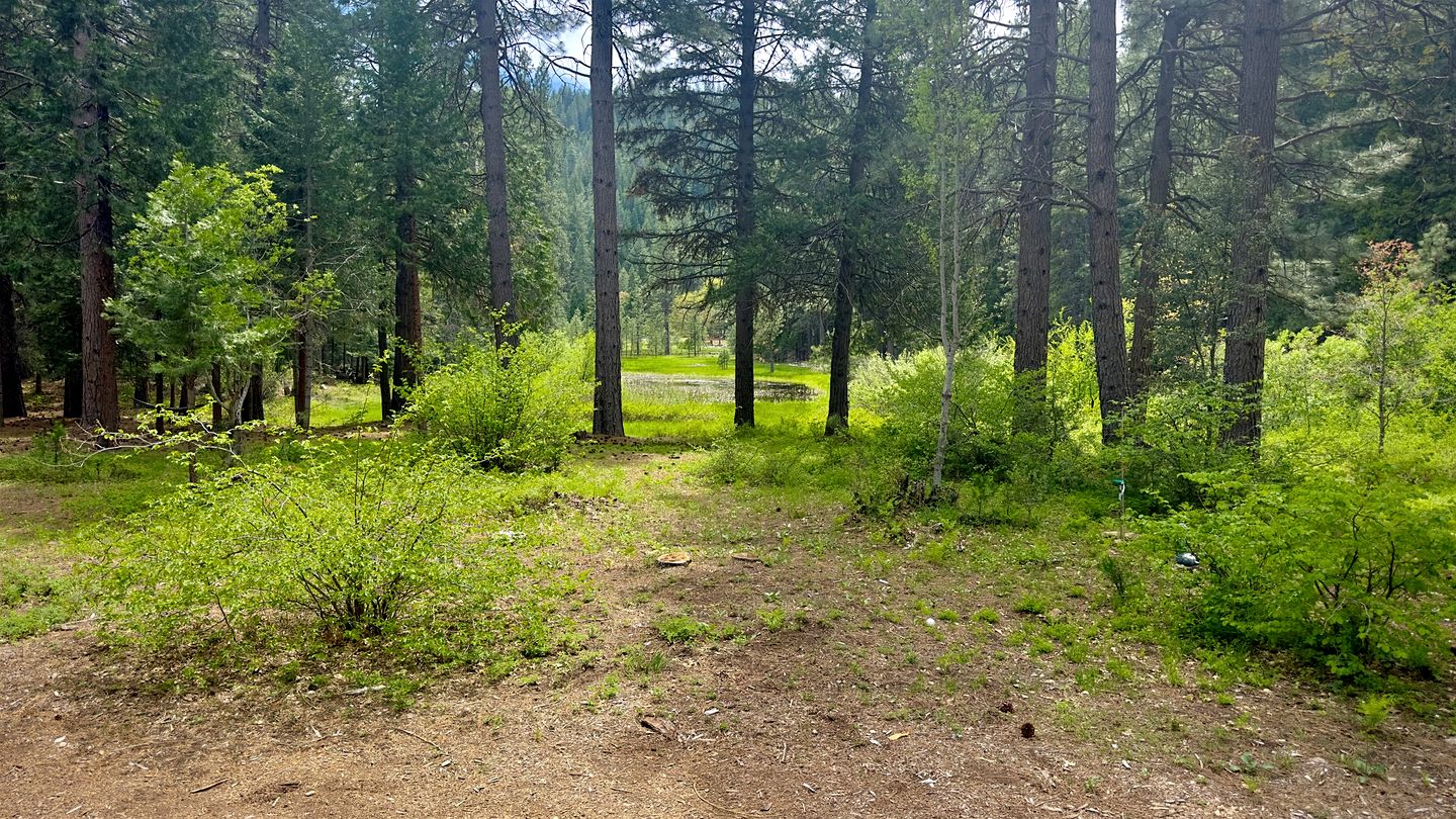 Cozy Cabin Escape with Pond, Creek & Firepit in Mount Shasta, California