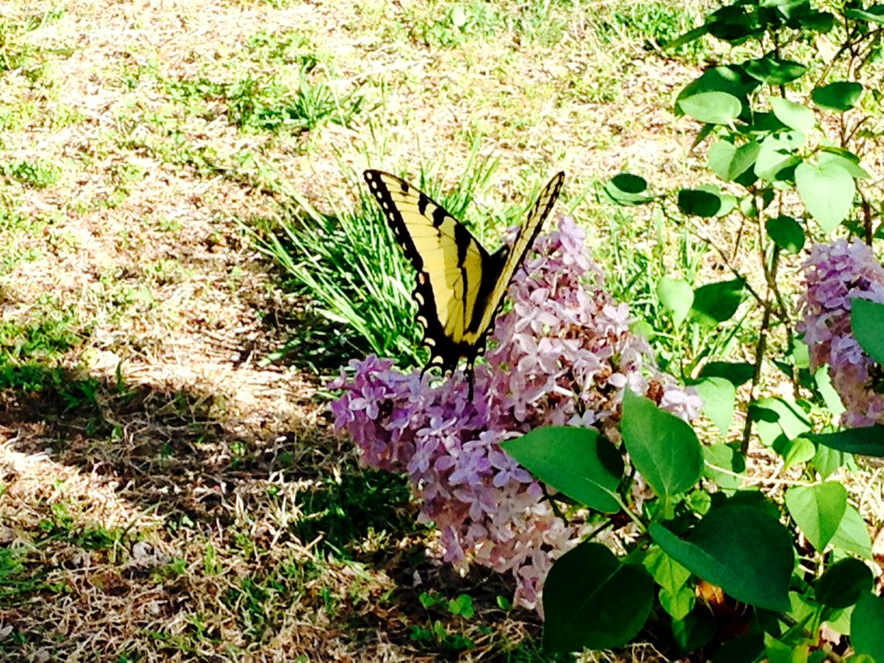 Cozy Lakefront Vacation Cabin Rental for Families near Mountain Home, Arkansas