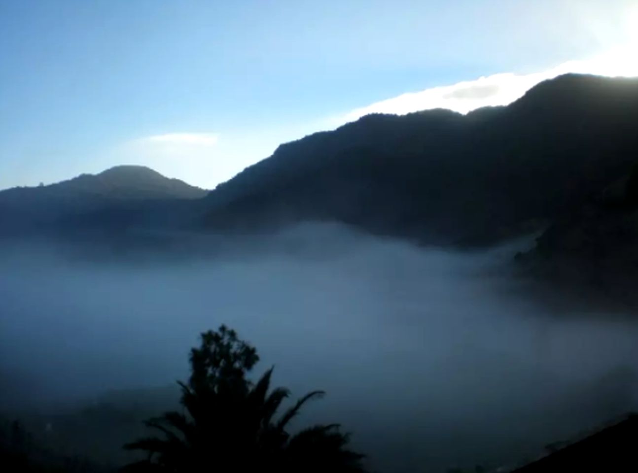 Peaceful Cabin Getaway Surrounded by Breathtaking Nature in Opononi, North Island