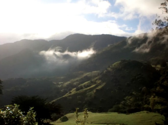 Cabins (Opononi, North Island, New Zealand)