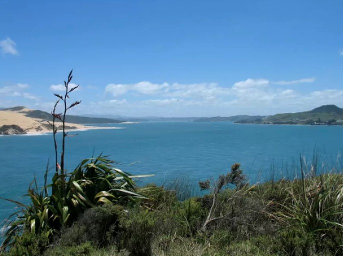 Cabins (Opononi, North Island, New Zealand)