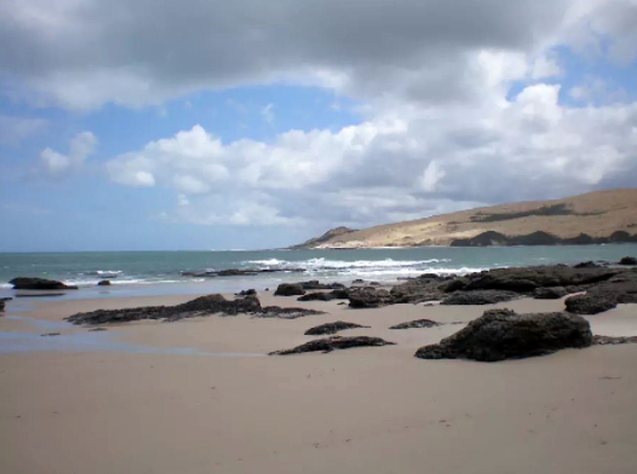Peaceful Cabin Getaway Surrounded by Breathtaking Nature in Opononi, North Island