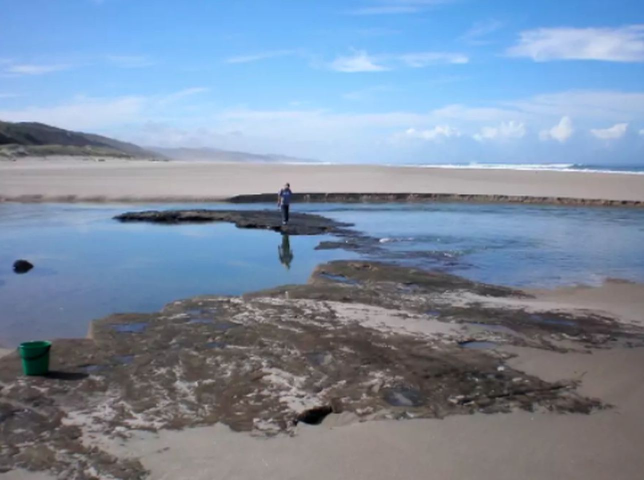 Peaceful Cabin Getaway Surrounded by Breathtaking Nature in Opononi, North Island