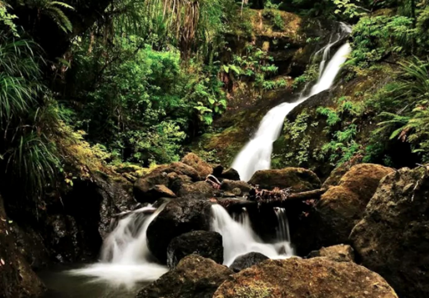 Peaceful Cabin Getaway Surrounded by Breathtaking Nature in Opononi, North Island