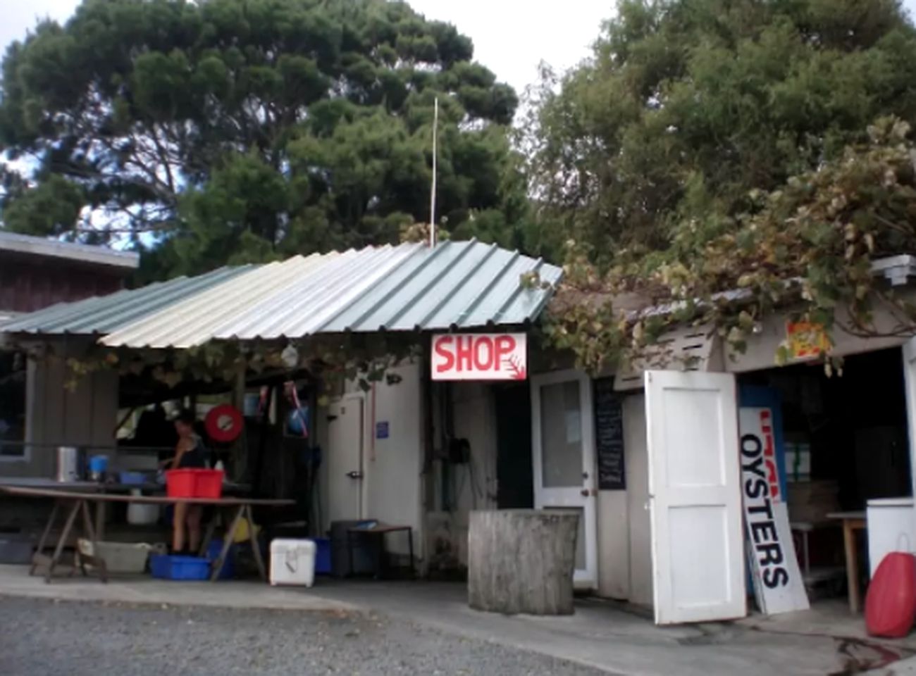 Peaceful Cabin Getaway Surrounded by Breathtaking Nature in Opononi, North Island