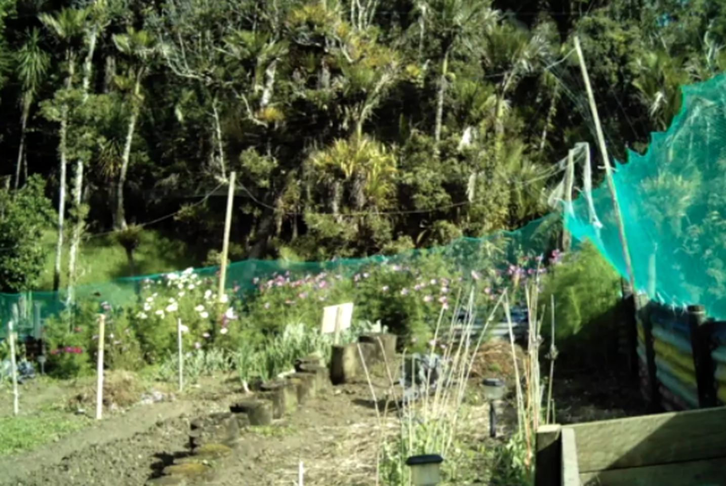 Peaceful Cabin Getaway Surrounded by Breathtaking Nature in Opononi, North Island