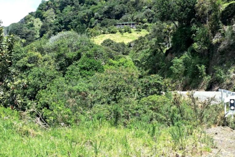 Cabins (Opononi, North Island, New Zealand)