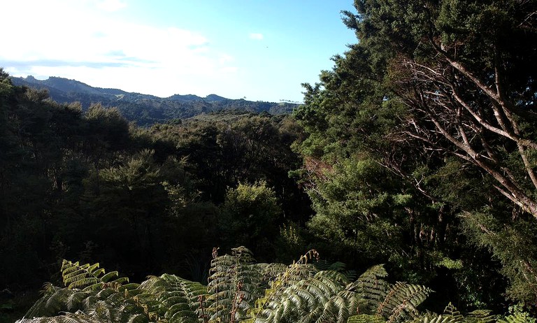 Cabins (Ngunguru, North Island, New Zealand)