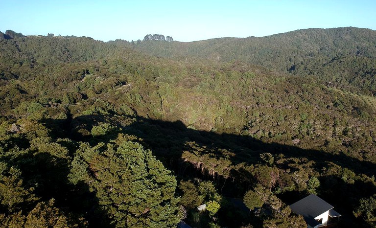 Cabins (Ngunguru, North Island, New Zealand)