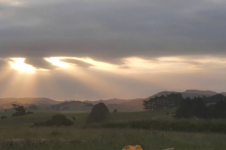 Domes (New Zealand, Waipu, Northland)