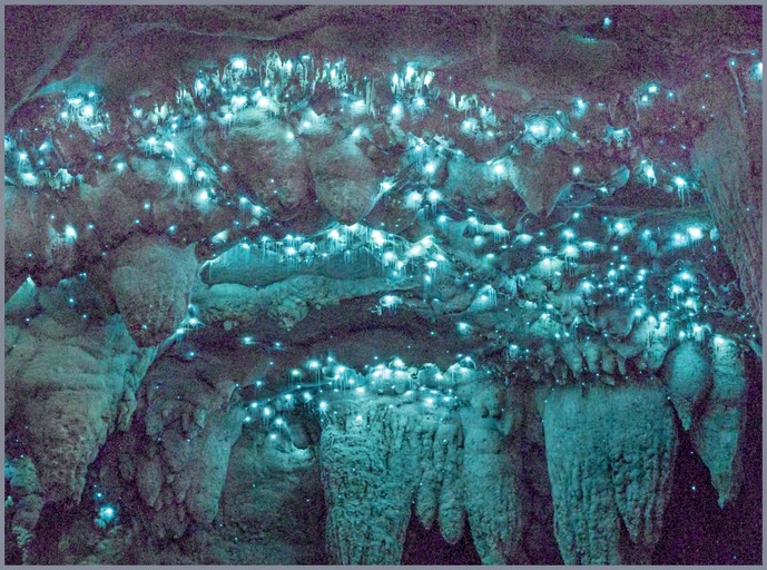 Domes (New Zealand, Waipu, Northland)