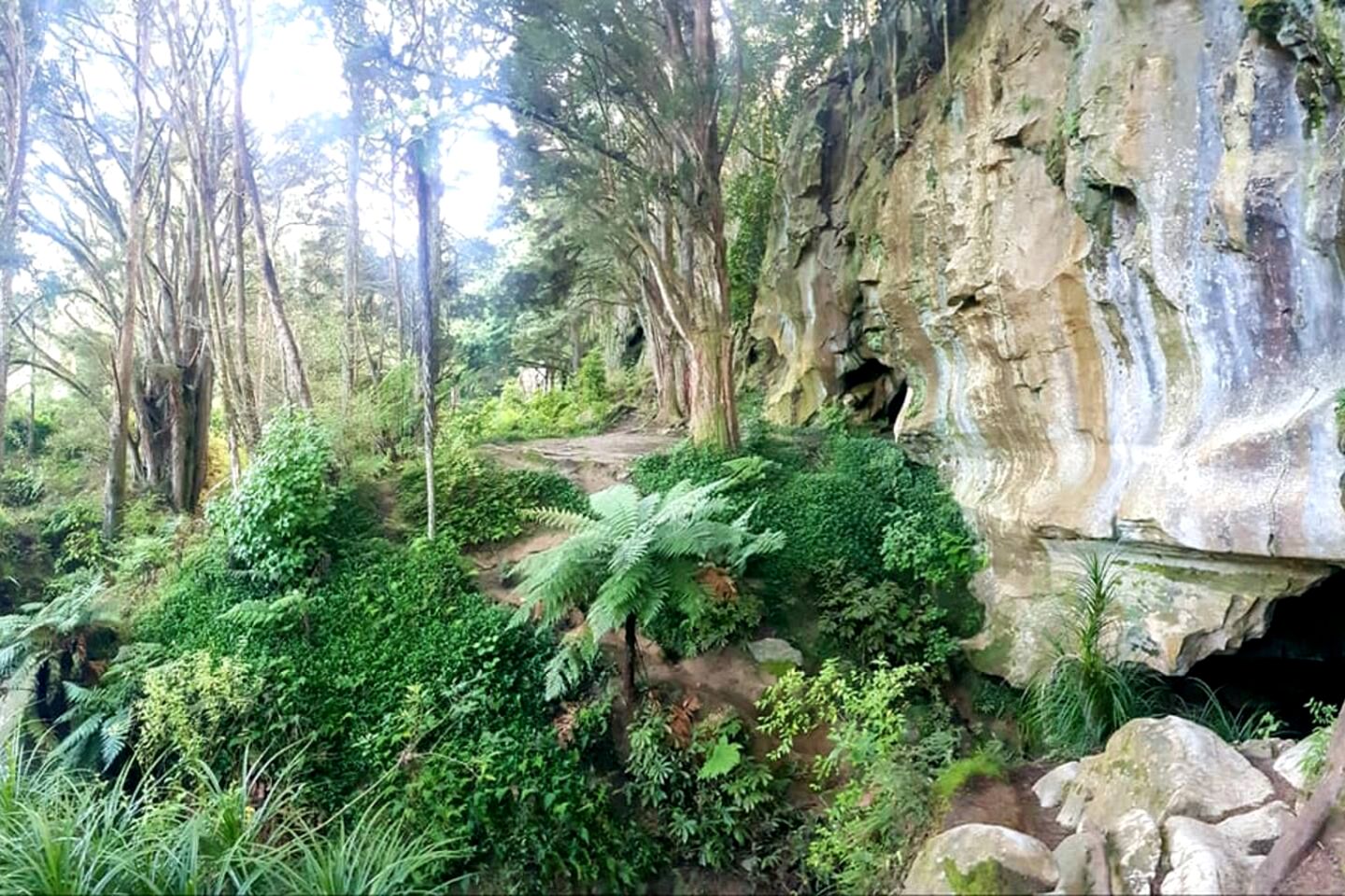 Waipu Luxury Glamping Dome, Perfect for an Outdoor Holiday