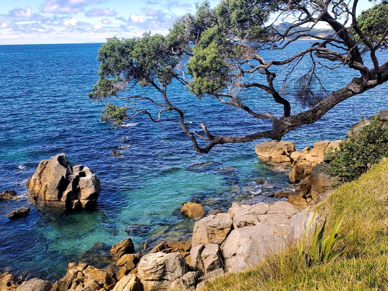 Waipu Luxury Glamping Dome, Perfect for an Outdoor Holiday