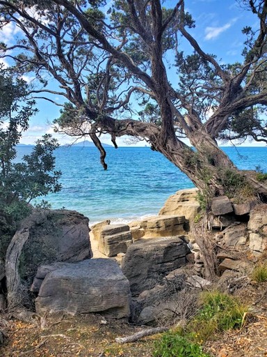 Domes (New Zealand, Waipu, Northland)