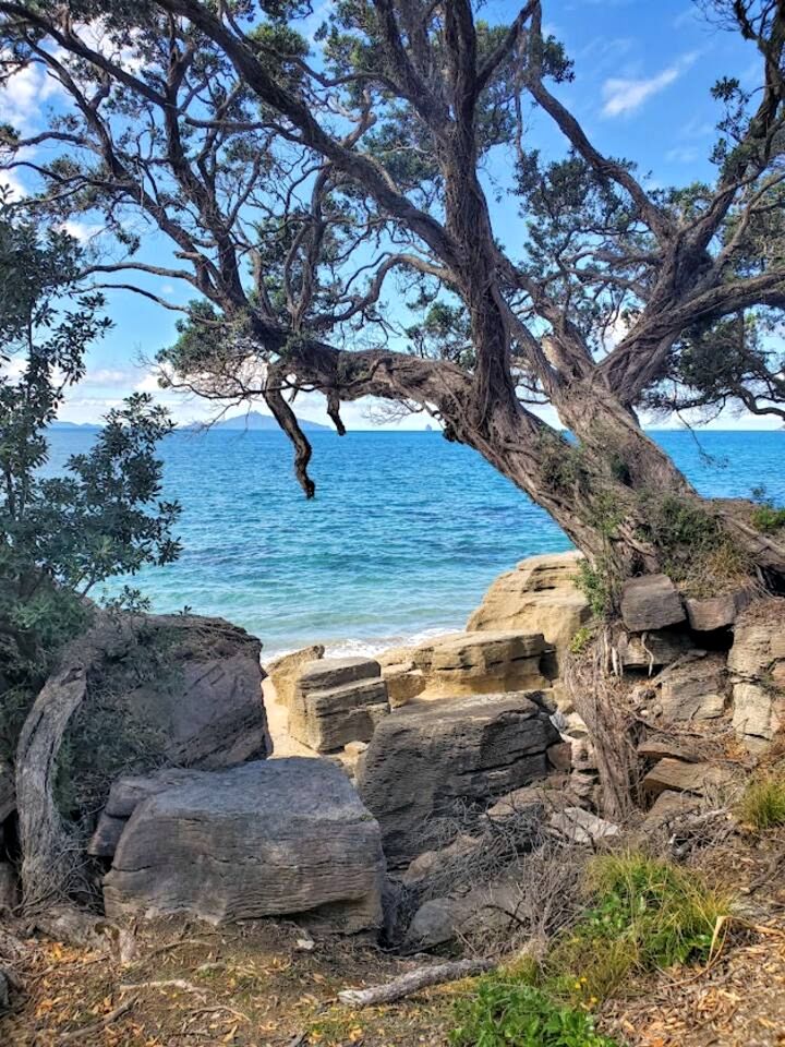 Waipu Luxury Glamping Dome, Perfect for an Outdoor Holiday