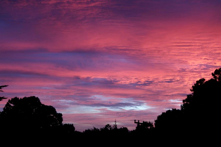 Nature Lodges (Waitoki, North Island, New Zealand)