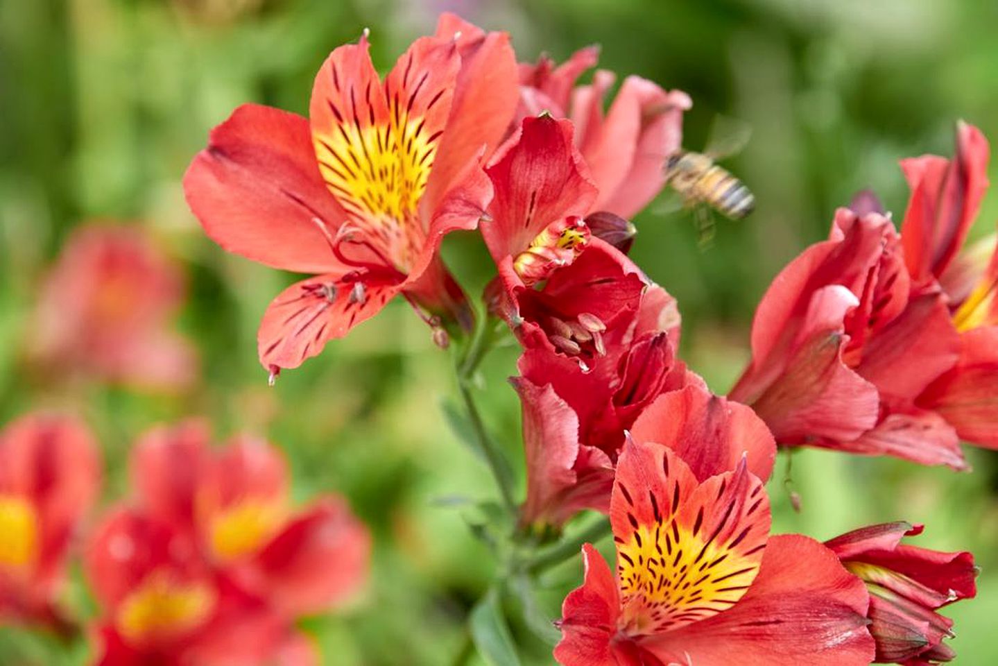 Romantic Getaway Accommodation with Breathtaking Views in Waitoki, North Island