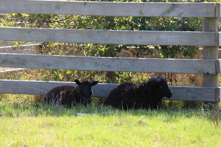 Nature Lodges (Waitoki, North Island, New Zealand)