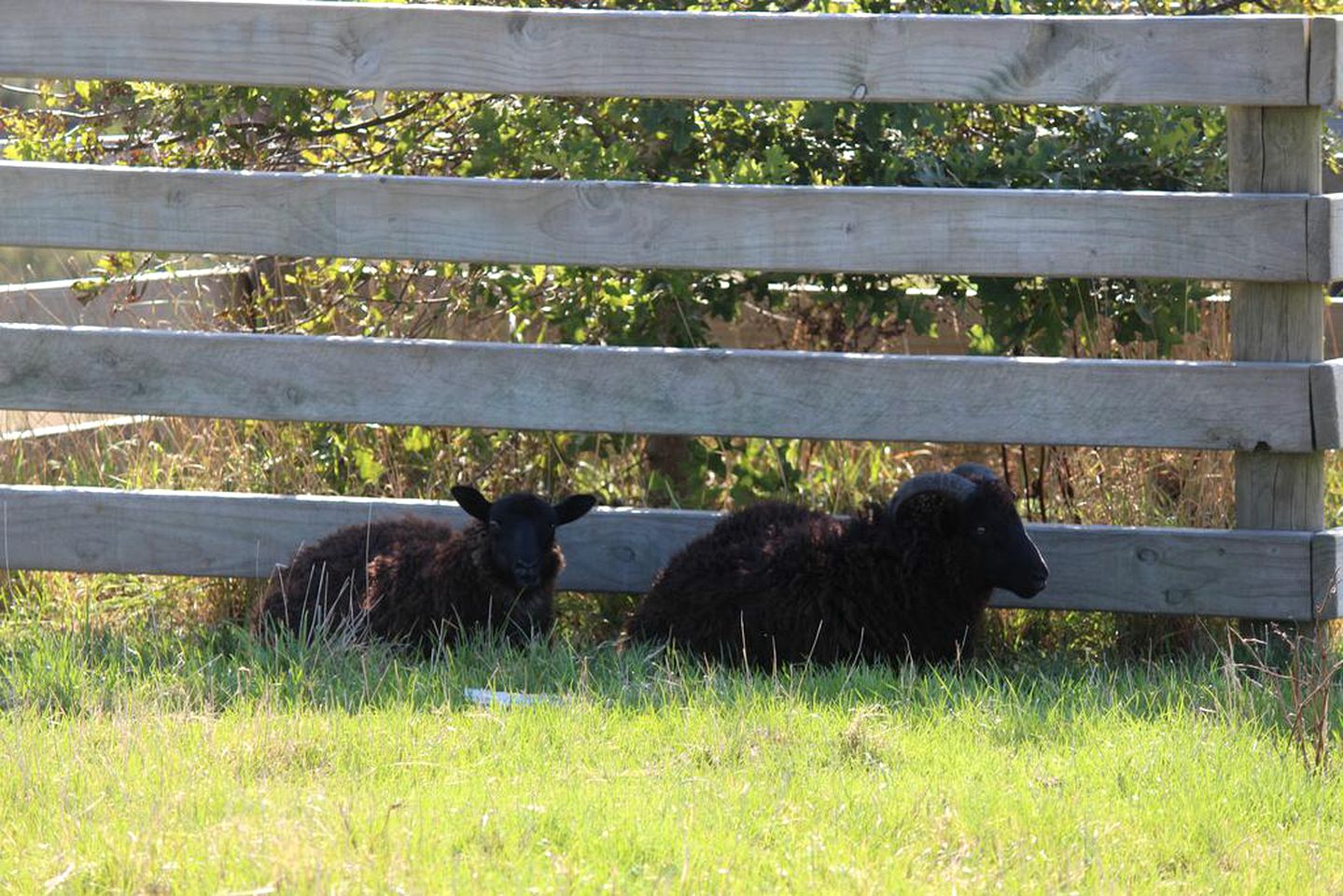 Romantic Getaway Accommodation with Breathtaking Views in Waitoki, North Island