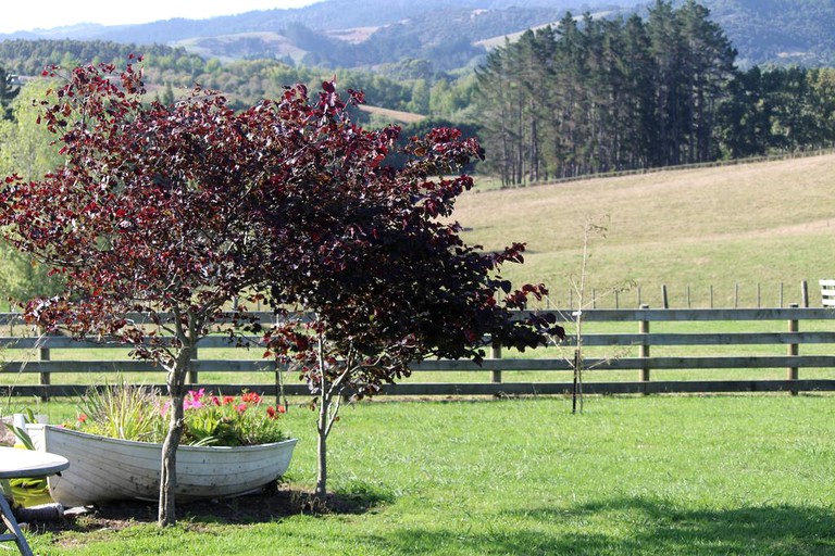 Nature Lodges (Waitoki, North Island, New Zealand)