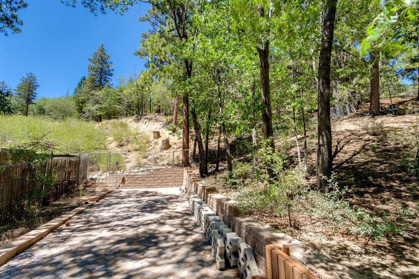 Incredible Secluded Wooden Cabin Nestled Amidst Trees in Big Bear Lake, California