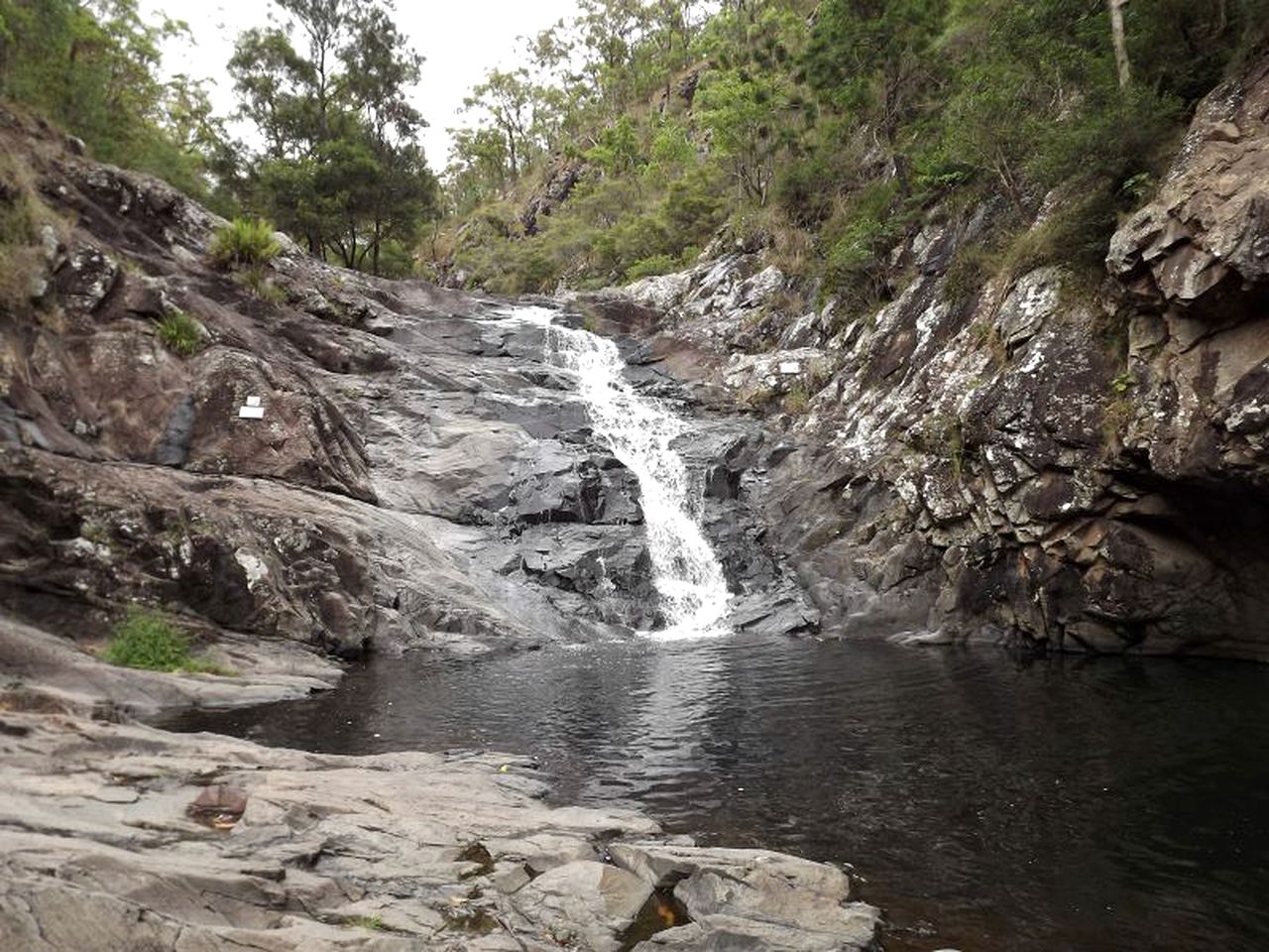 Fantastic Vacation Rental with Wheelchair Access near Tamborine Mountain, Queensland