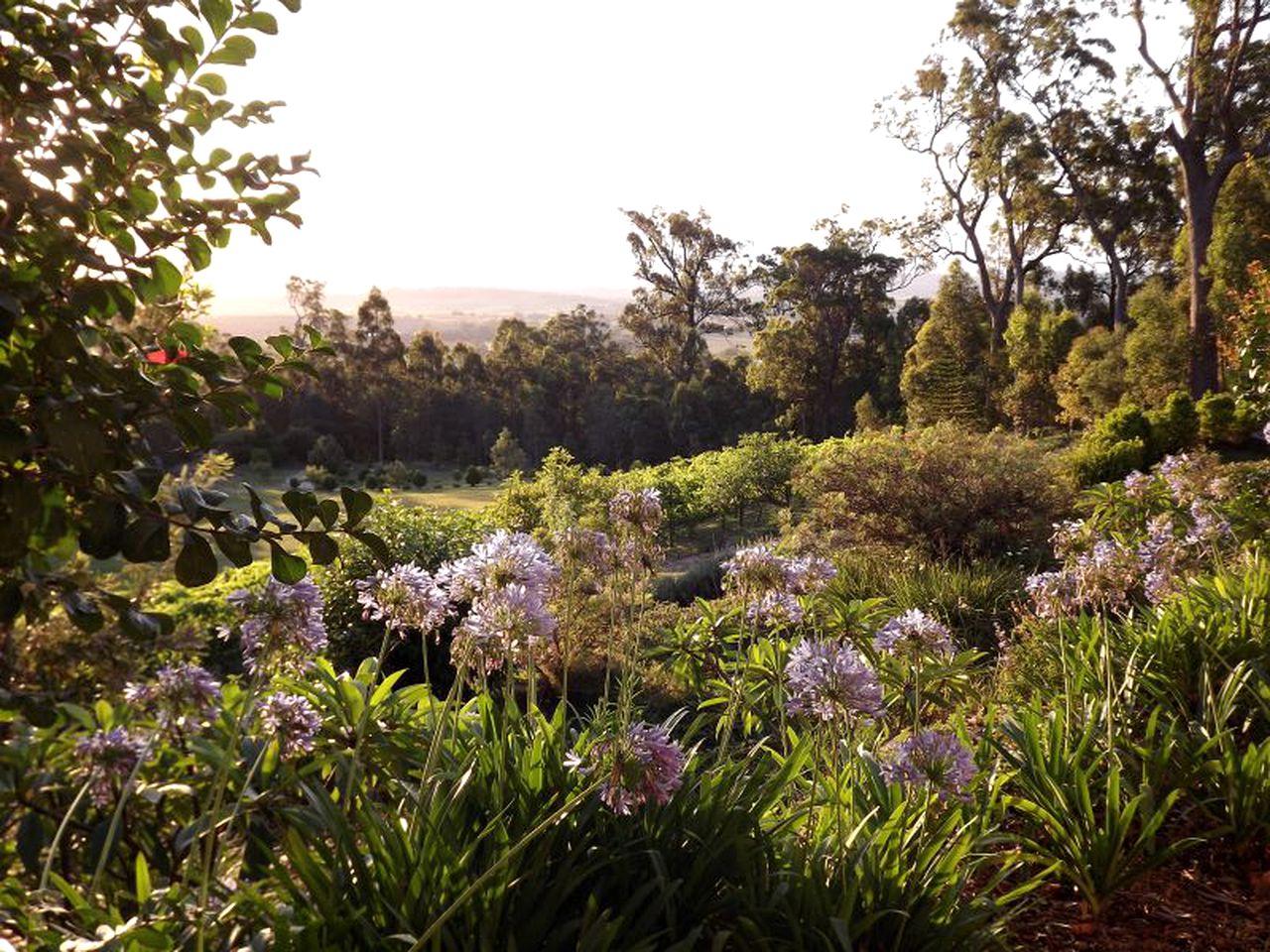 Fantastic Vacation Rental with Wheelchair Access near Tamborine Mountain, Queensland