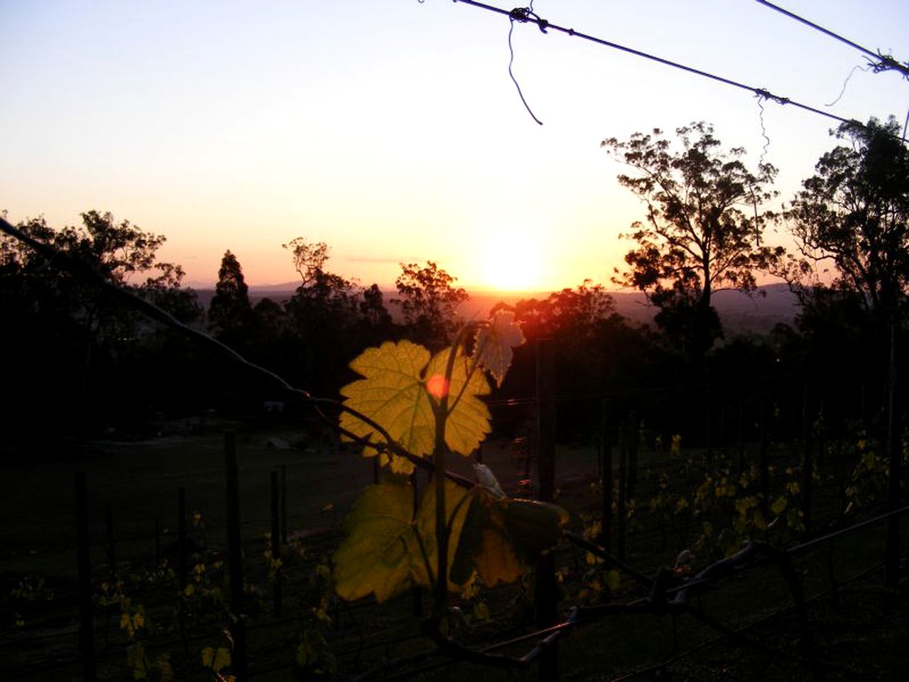 Romantic Suite with a Luxurious Pool near Tamborine Mountains, Queensland