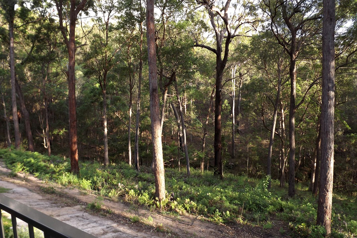 Romantic Suite with a Luxurious Pool near Tamborine Mountains, Queensland