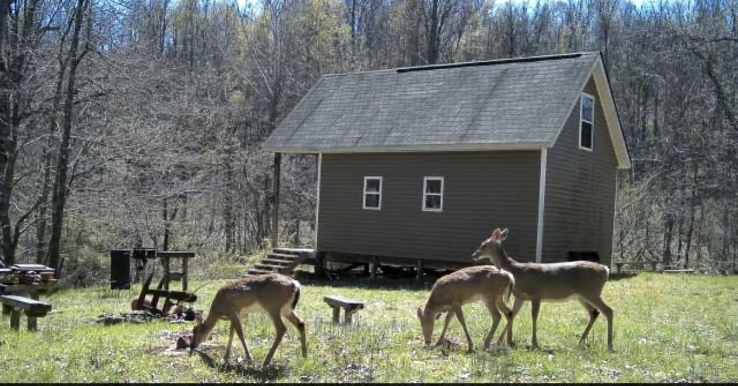 Secluded Off-Grid Cabin with Waterfall & Hiking Trails Near Rome Township, OH