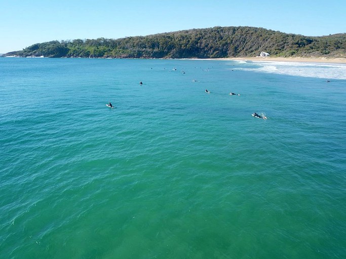 Tree Houses (One Mile Beach, New South Wales, Australia)