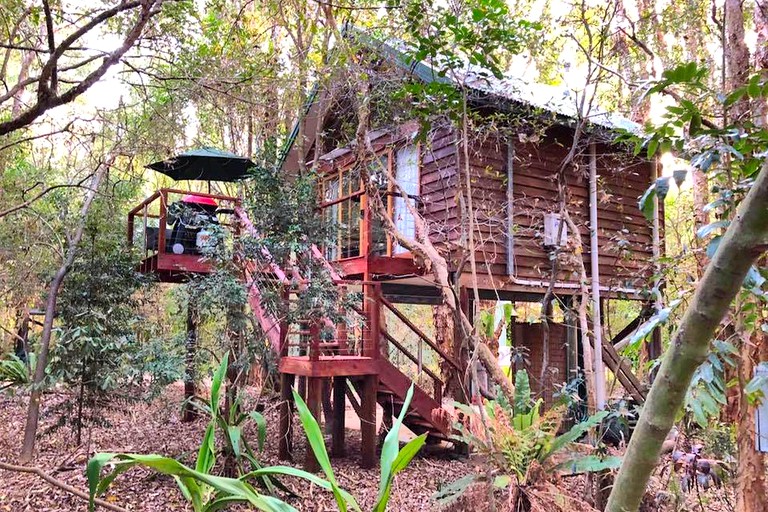 Tree Houses (One Mile Beach, New South Wales, Australia)