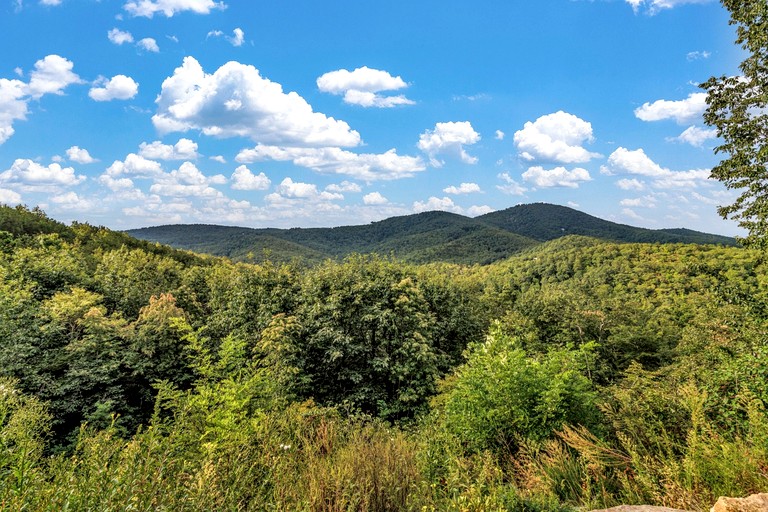 Vacation Rentals (United States of America, Black Mountain, North Carolina)