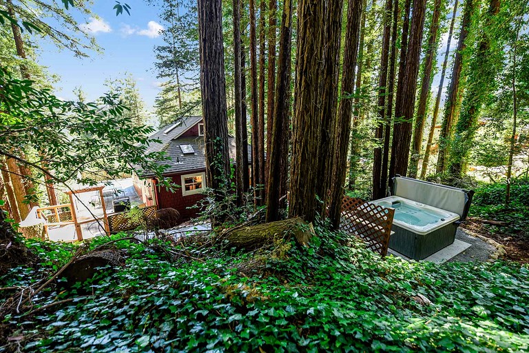 Cabins (United States of America, Guerneville, California)