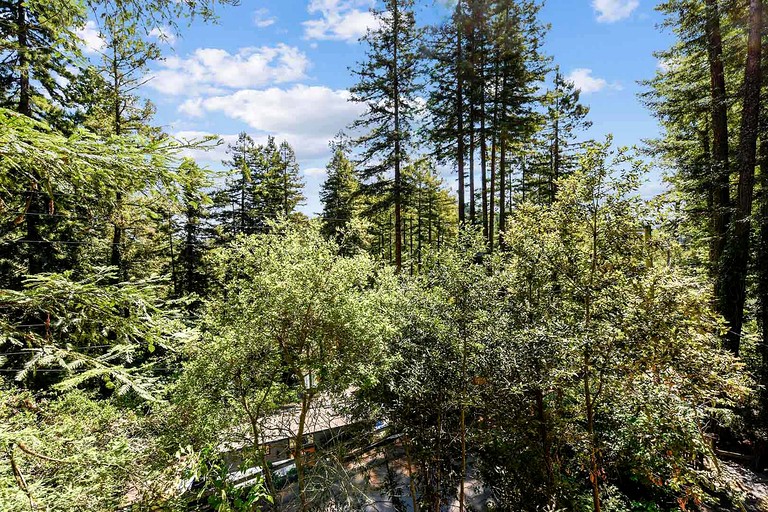 Cabins (United States of America, Guerneville, California)