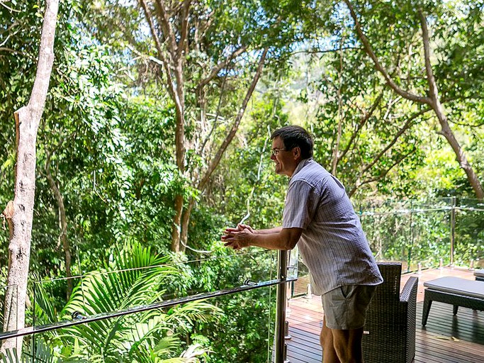 Tree Houses (Cairns, Queensland, Australia)