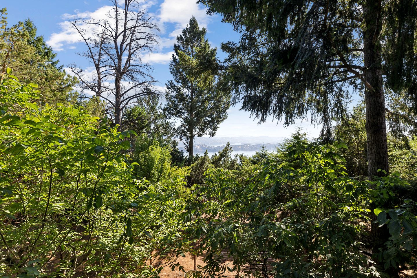 Charming A-Frame with Stunning Views in Kelseyville, California
