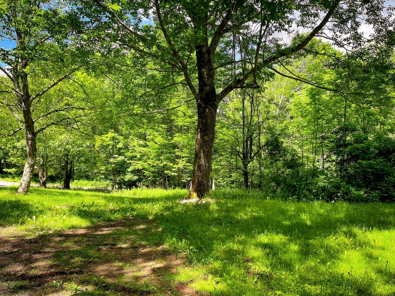Warm & Inviting Cabin Retreat Perfect for Year-Round Escapes in Denver, New York