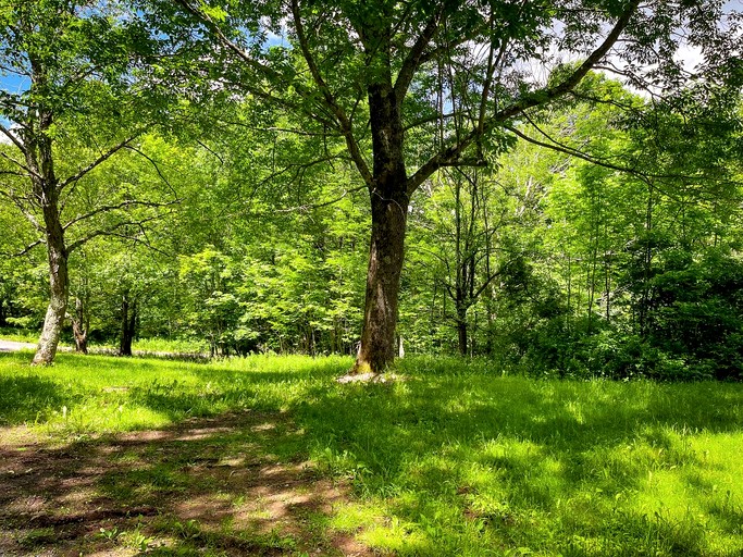 Cabins (United States of America, Denver, New York)