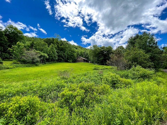 Cabins (United States of America, Denver, New York)