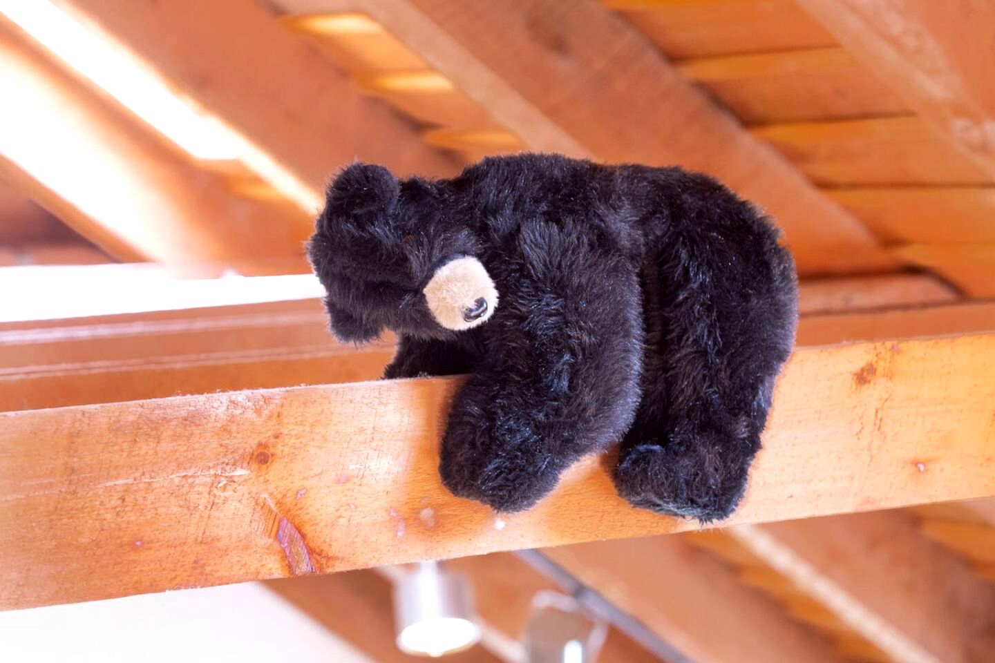 Warm & Inviting Cabin Retreat Perfect for Year-Round Escapes in Denver, New York