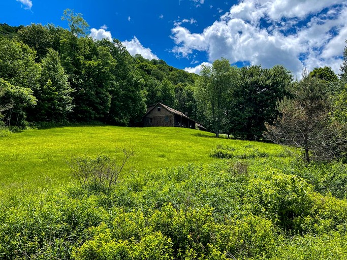 Cabins (United States of America, Denver, New York)