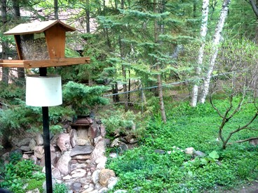 Luxury Camping In Wasaga Beach Glamping Hub