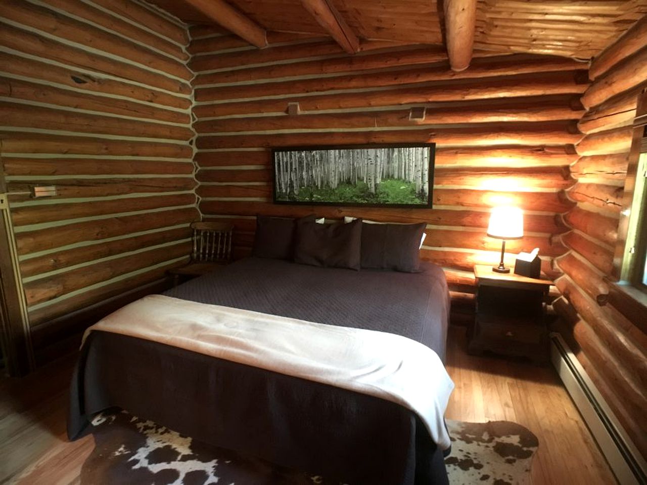 Amazing Lodge Rental Ideal for Events in Encampment, Wyoming
