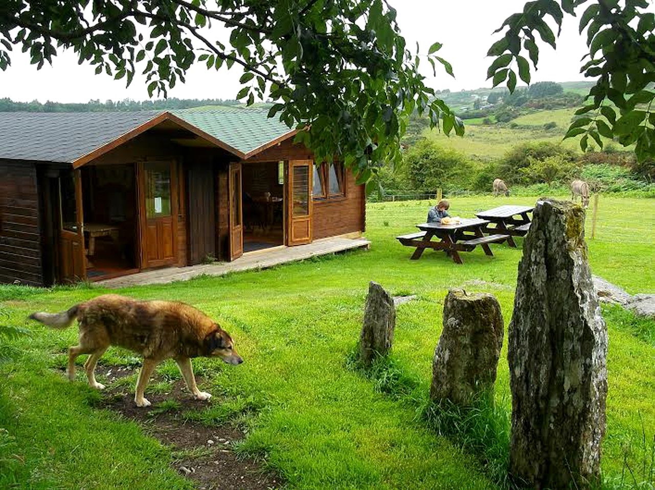 Rustic Cabin Rental with Kitchen at Alpaca Farm near Cork, Ireland